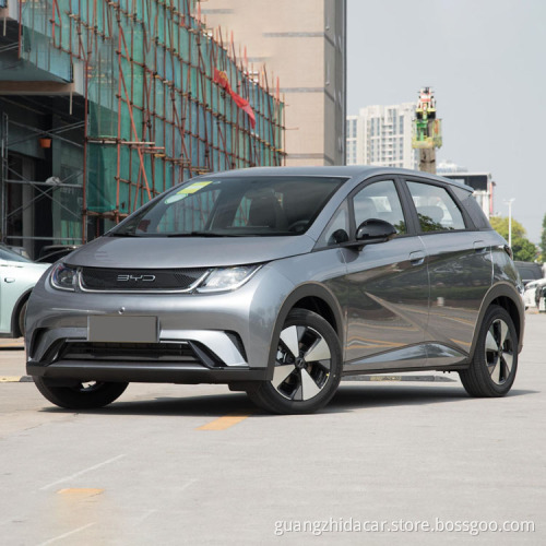 طبعة الموضة 405km بيع Knight 401 Haitun BYD Dolphin
